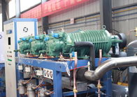 Parallel Screw Air Cooled Screw Chiller for cold chain logistic